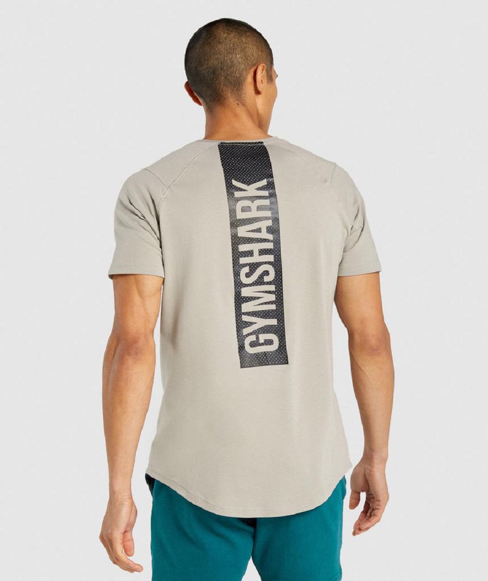 T Shirts Gymshark Bold Hombre Gris | CO 3372YXF